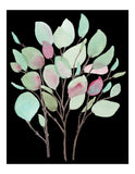 Botanical No. 1  Black Background Vibrant Foliage- Art Print