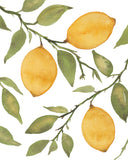 Lemon Trio Citrus Tree with Branches- Giclee Art Print- Kitchen Lemons