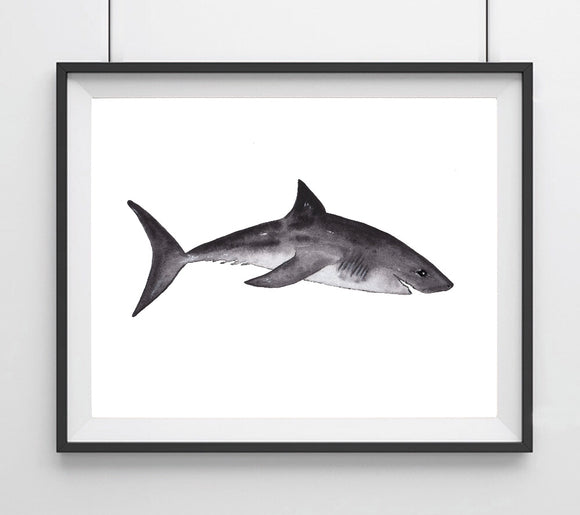 Sealife Series, Great White Shark- Art Print