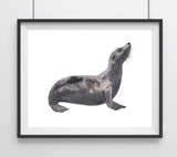 Sealife Series, Seal- Art Print
