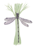Purple Dragonfly-Giclee Art Print