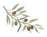Olive Branch Purple- Giclee Art Print- Botanical Food Illustration