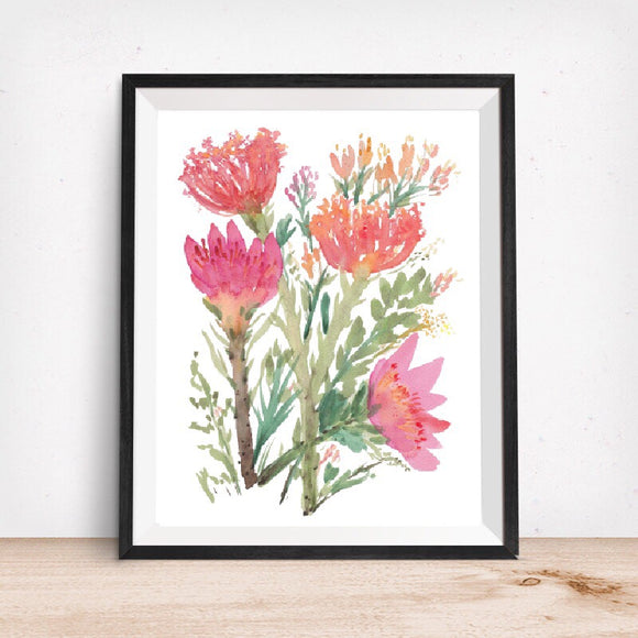 Proteas or Sugarbush- Vibrant Pink Art Giclee Print