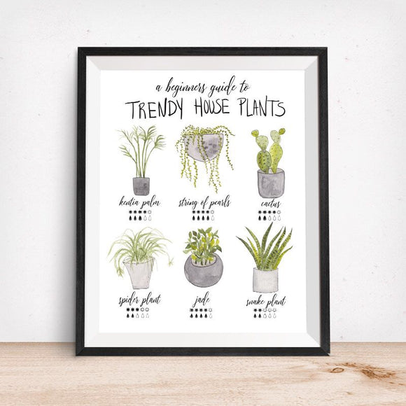 Trendy House Plants-Beginners Guide Art Print