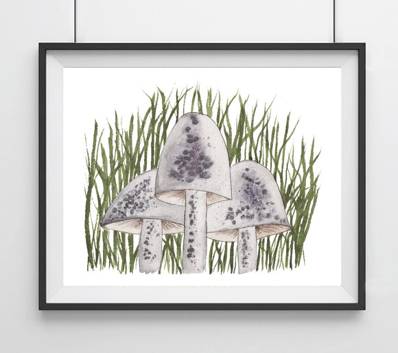 Mushroom Trio, Gray and Purple in tall grass- Art Print