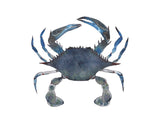 Sealife Series, Blue Crab- Art Print